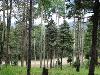 Lot 1459 Peralta Dr.